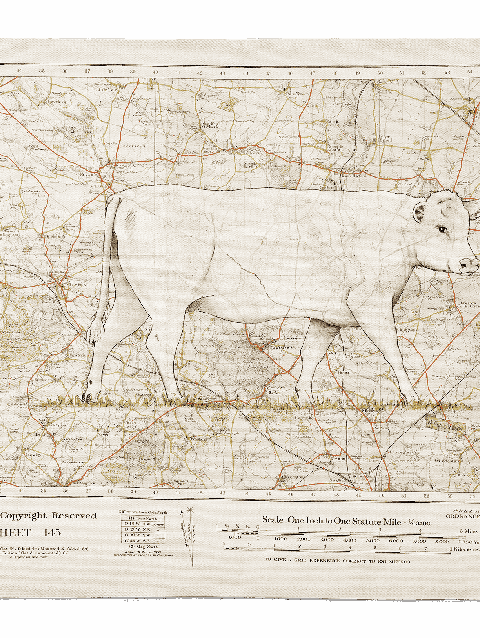 Diddly Squat Farm Pepper and Map Tea Towel